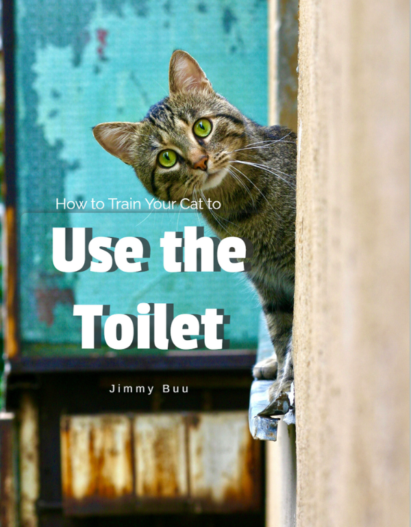 How to Train Your Cat to Use the Toilet